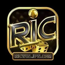 Ricwin icon